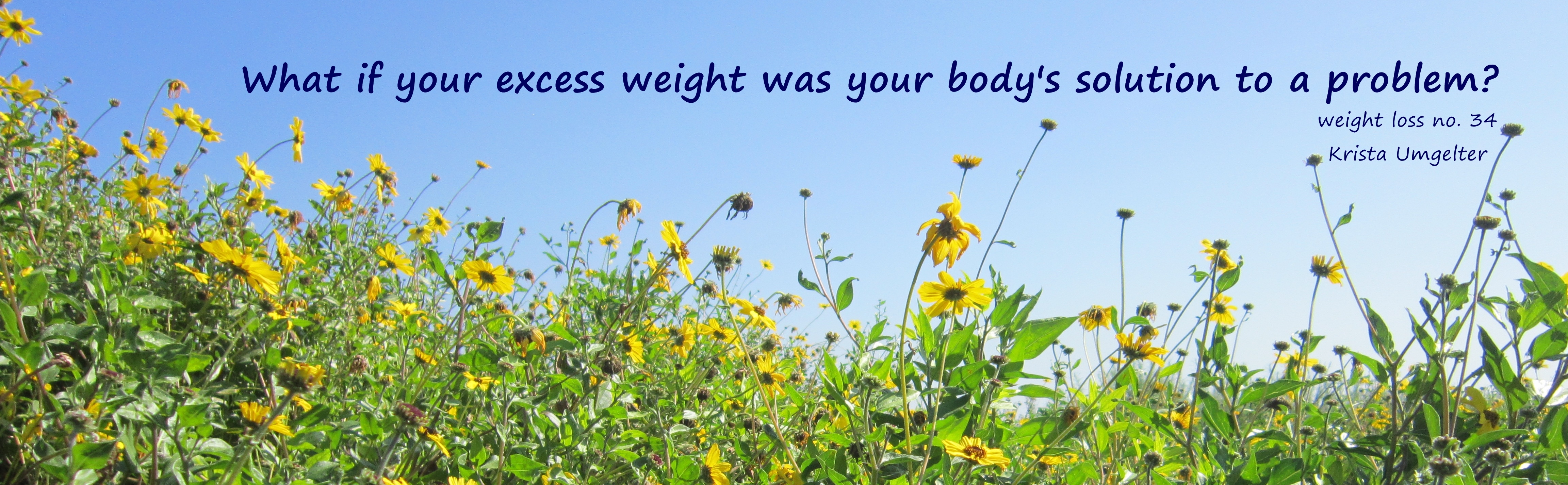 What if your excess weight was your body’s solution to a problem? – Weight Loss No. 34